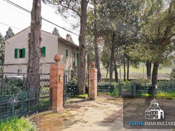 Casa indipendente in vendita a Todi, Todi - Frazione, Con giardino, 240 mq - Foto 10