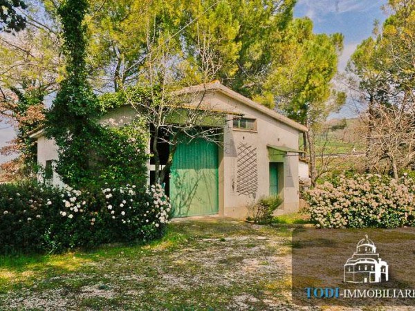 Casa indipendente in vendita a Todi, Todi - Frazione, Con giardino, 240 mq - Foto 8