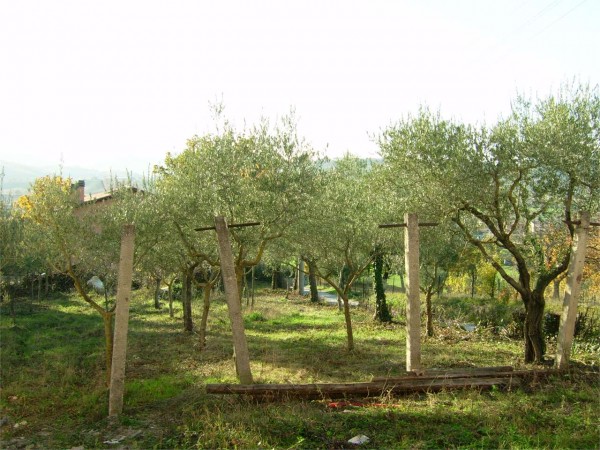 Casa indipendente in vendita a Nocera Umbra, Con giardino, 230 mq - Foto 6
