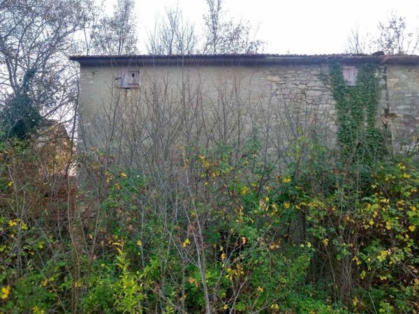 Rustico/Casale in vendita a Montone, Carpini, Con giardino, 150 mq - Foto 4