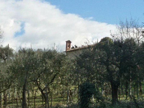 Rustico/Casale in vendita a Perugia, Sant`egidio(sant`egidio) - Sant`egidio, Pianello, 350 mq - Foto 7