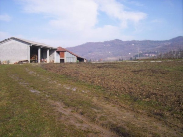 Rustico/Casale in vendita a Acqui Terme, 600 mq - Foto 8