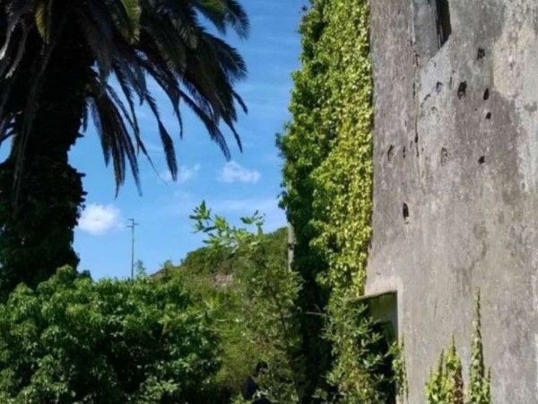 Rustico/Casale in vendita a Rio, Grassera, Con giardino, 173 mq - Foto 3