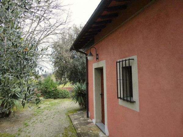 Villa in vendita a Casciana Terme Lari, Arredato, 1000 mq - Foto 6