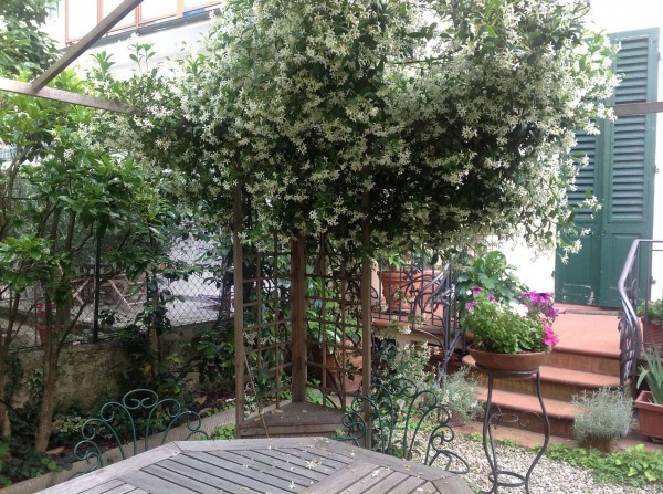 Casa indipendente in vendita a Firenze, Con giardino, 215 mq - Foto 32