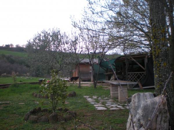 Rustico/Casale in vendita a Urbania, Battaglia, Con giardino, 350 mq - Foto 34