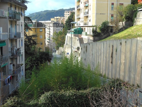Appartamento in affitto a Genova, Molassana, 70 mq - Foto 2