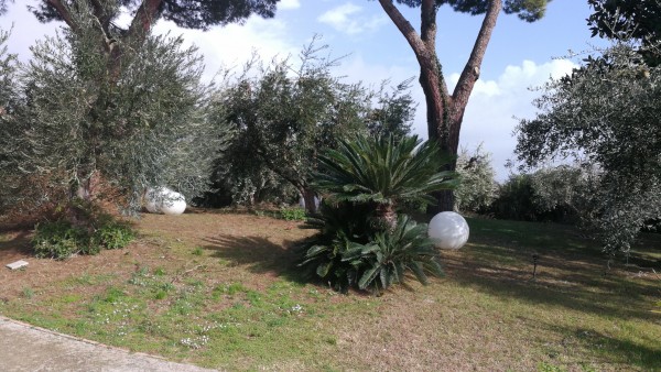 Villa in vendita a Terracina, Residenziale, 325 mq - Foto 4