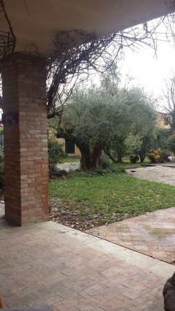 Casa indipendente in vendita a Padova, Con giardino, 390 mq - Foto 13