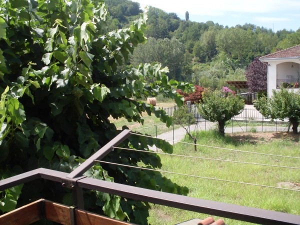 Casa indipendente in vendita a Bistagno, Campagna, Con giardino, 150 mq - Foto 8