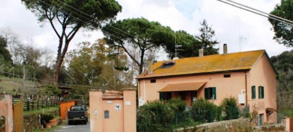 Casa indipendente in vendita a Roma, Tragliata, 260 mq - Foto 3