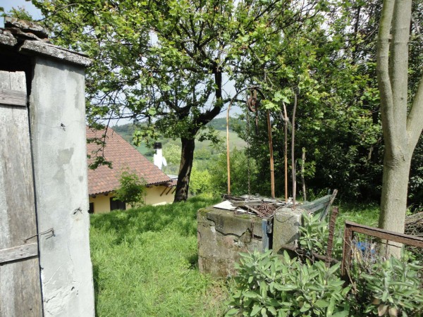 Casa indipendente in vendita a San Salvatore Monferrato, Con giardino, 250 mq - Foto 6
