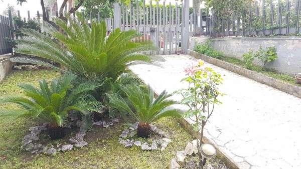 Villetta a schiera in vendita a Somma Vesuviana, Zona Centrale, Con giardino, 210 mq - Foto 8