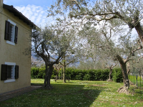 Casa indipendente in vendita a Tocco da Casauria, Contrada Pareti, Con giardino, 165 mq - Foto 4