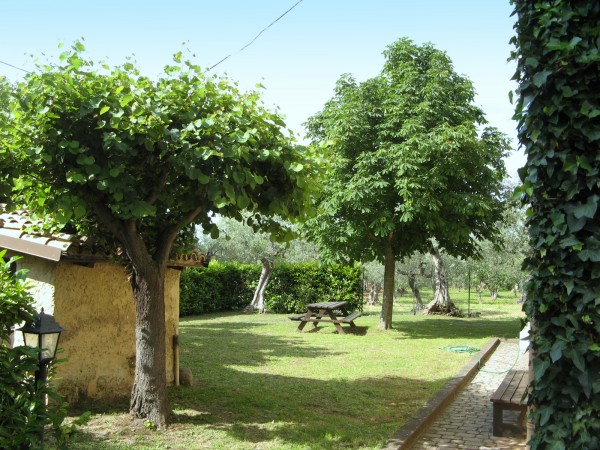 Casa indipendente in vendita a Tocco da Casauria, Contrada Pareti, Con giardino, 165 mq - Foto 5
