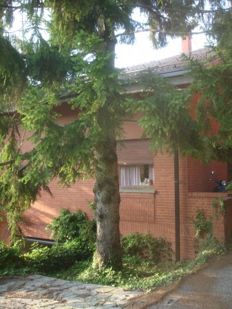 Appartamento in vendita a Moncalieri, Con giardino, 180 mq - Foto 20