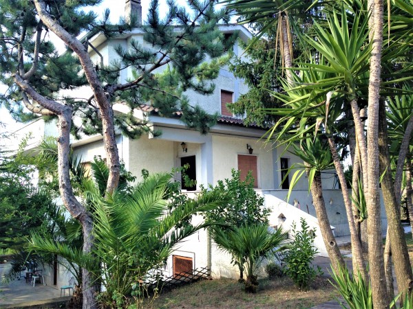 Villa in vendita a Marino, Santa Maria Delle Mole, Con giardino, 400 mq - Foto 3