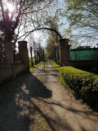 Rustico/Casale in vendita a Carbonara Scrivia, Statale, Con giardino, 300 mq - Foto 21