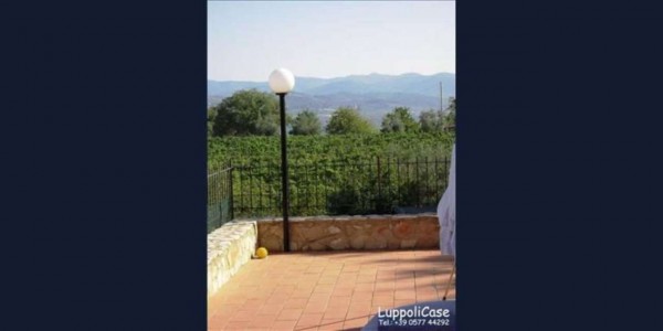 Villa in vendita a Castelnuovo Berardenga, Con giardino, 270 mq - Foto 10