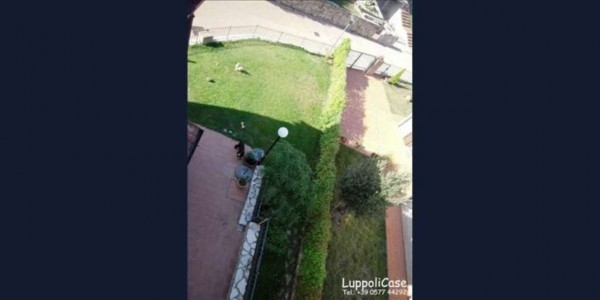 Villa in vendita a Castelnuovo Berardenga, Con giardino, 270 mq - Foto 2