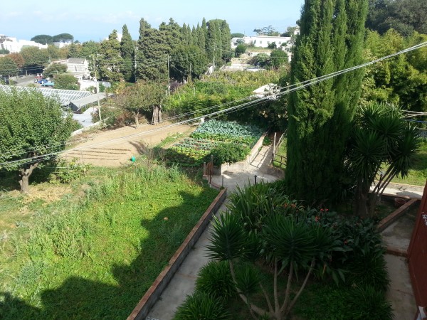 Immobile in vendita a Anacapri, Anacapri Centro, Con giardino, 900 mq - Foto 13