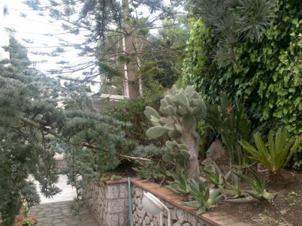 Villa in vendita a Anacapri, Anacapri, Con giardino, 135 mq - Foto 5