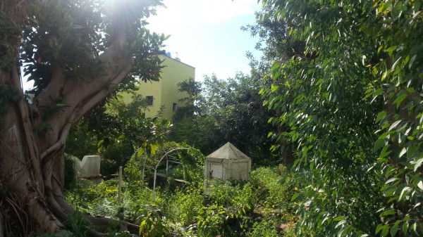 Villa in vendita a Ischia, Porto, Con giardino, 400 mq - Foto 40