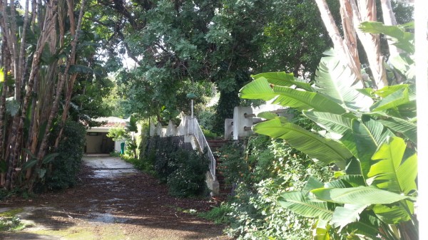 Villa in vendita a Ischia, Porto, Con giardino, 400 mq - Foto 45
