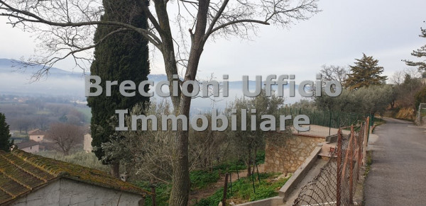 Casa indipendente in vendita a Trevi, Matigge, Con giardino, 220 mq - Foto 3