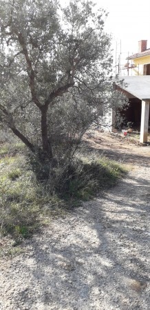 Villa in vendita a Palombara Sabina, Stazzano, Con giardino, 230 mq - Foto 6