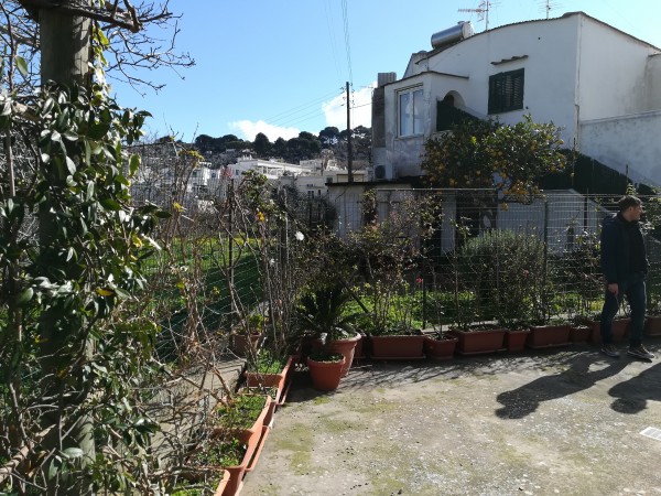 Bilocale in vendita a Capri, Capri, Con giardino, 40 mq - Foto 26