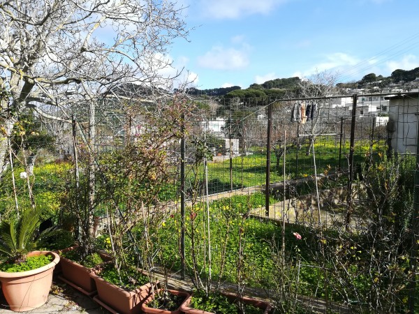 Bilocale in vendita a Capri, Capri, Con giardino, 40 mq - Foto 3