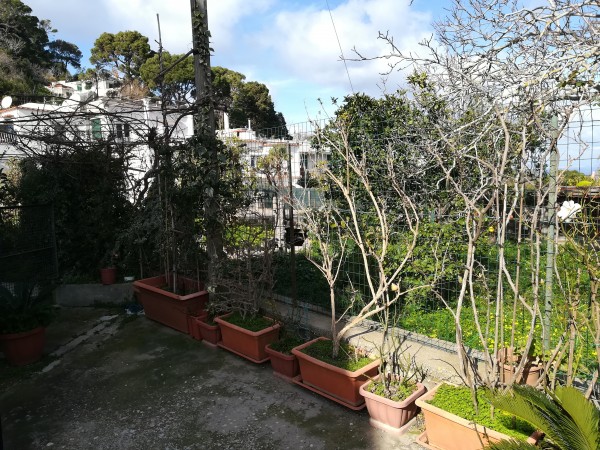 Bilocale in vendita a Capri, Capri, Con giardino, 40 mq - Foto 2