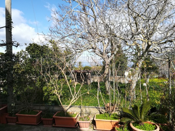 Bilocale in vendita a Capri, Capri, Con giardino, 40 mq - Foto 4