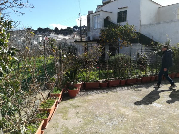 Bilocale in vendita a Capri, Capri, Con giardino, 40 mq - Foto 27