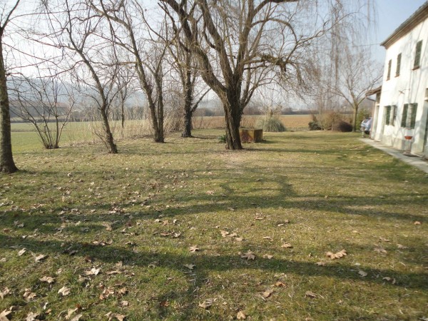 Casa indipendente in vendita a San Salvatore Monferrato, Con giardino, 120 mq - Foto 15