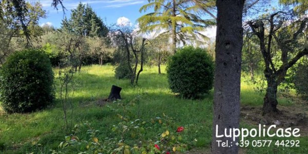Villa in vendita a Siena, Con giardino, 242 mq - Foto 6