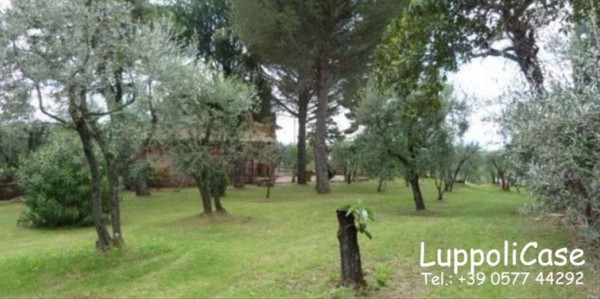 Villa in vendita a Siena, Con giardino, 242 mq - Foto 25