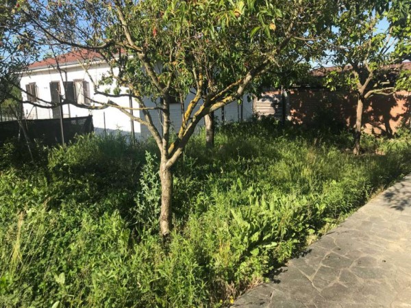 Casa indipendente in vendita a Quargnento, Con giardino, 150 mq - Foto 10
