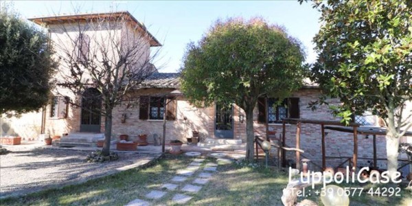 Villa in vendita a Castelnuovo Berardenga, Arredato, con giardino, 312 mq - Foto 21