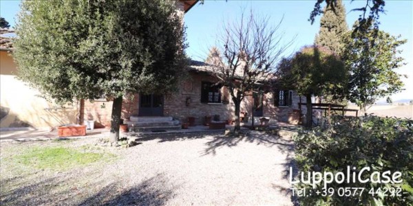 Villa in vendita a Castelnuovo Berardenga, Arredato, con giardino, 312 mq - Foto 22