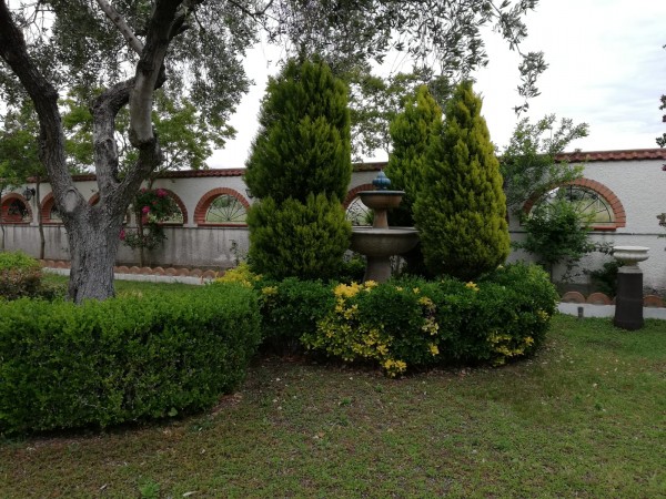 Casa indipendente in vendita a Borgia, Roccelletta, Con giardino, 160 mq - Foto 8