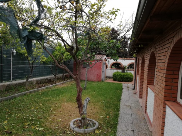 Casa indipendente in vendita a Borgia, Roccelletta, Con giardino, 160 mq - Foto 2