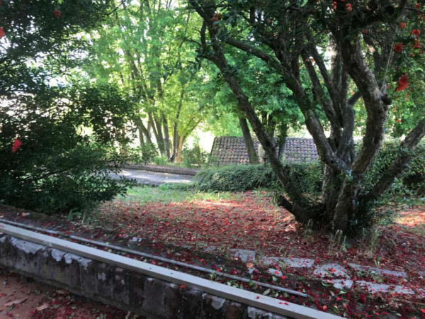 Casa indipendente in vendita a San Salvatore Monferrato, Con giardino, 350 mq - Foto 15