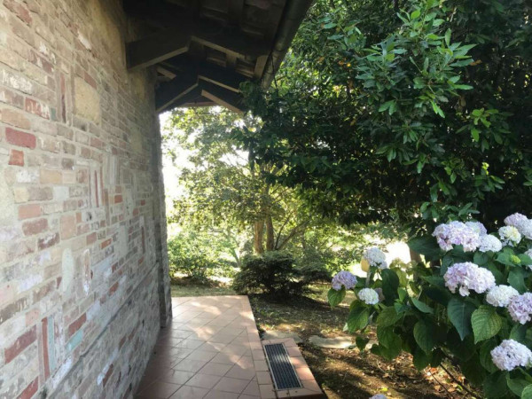 Casa indipendente in vendita a San Salvatore Monferrato, Con giardino, 350 mq - Foto 16
