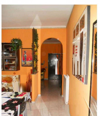 Appartamento in vendita a Colleferro, 76 mq - Foto 7