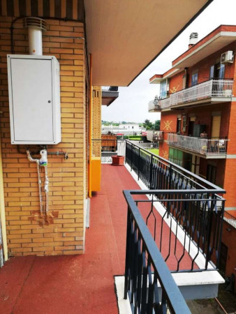 Appartamento in affitto a Roma, Boccea Palmarola, 120 mq - Foto 2