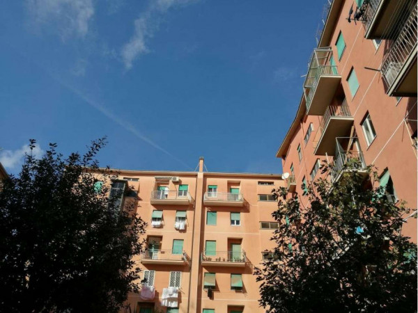Appartamento in vendita a Roma, Tuscolana, Arredato, con giardino, 115 mq - Foto 9