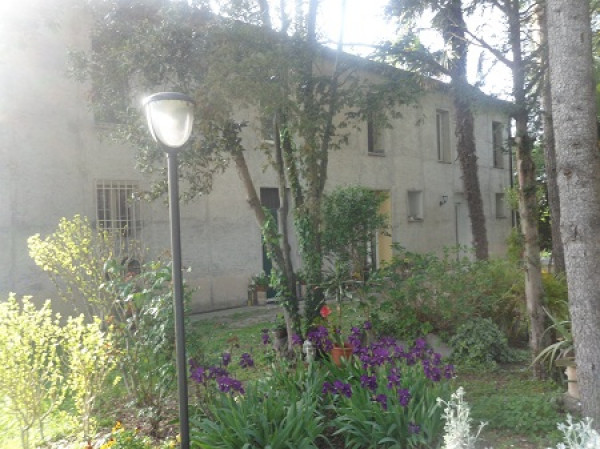 Locale Commerciale  in vendita a Ravenna, Mandriole, Con giardino, 435 mq - Foto 6