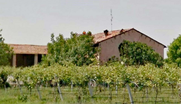 Rustico/Casale in vendita a Forlì, 580 mq - Foto 8